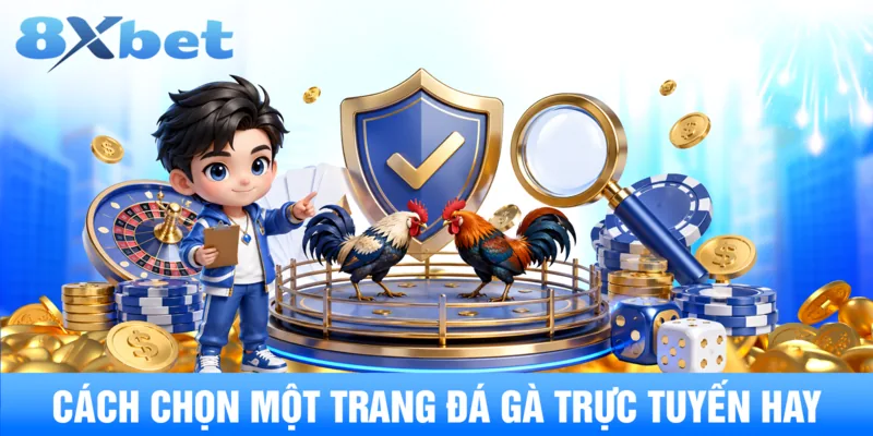 Cách chọn một trang đá gà trực tuyến hay