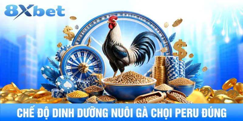 Chế độ dinh dưỡng nuôi gà chọi peru đúng
