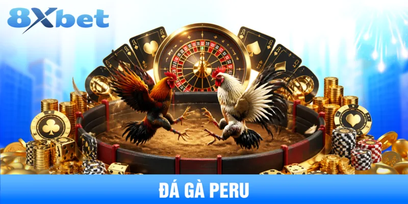 Đá Gà Peru: Cẩm Nang Chi Tiết Về Giống Chiến Kê Đỉnh Cao
