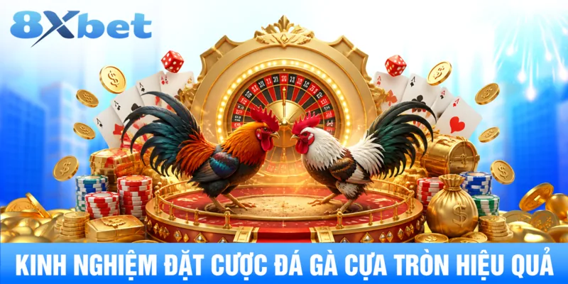 Kinh nghiệm đặt cược đá gà cựa tròn hiệu quả