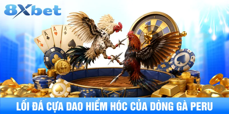 Lối đá cựa dao hiểm hóc của dòng gà peru