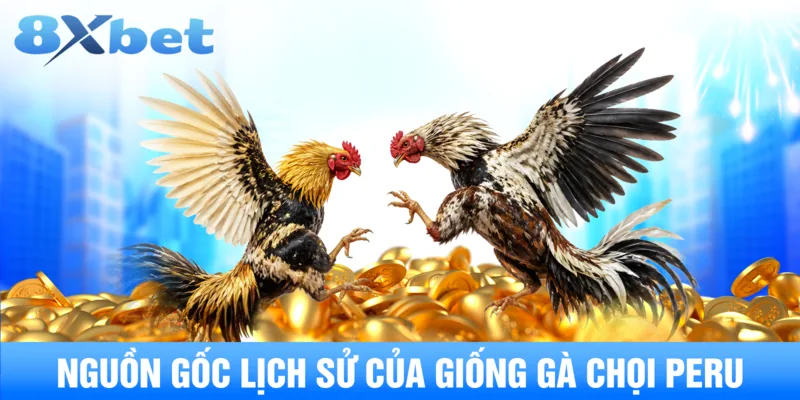 Nguồn gốc lịch sử của giống gà chọi peru