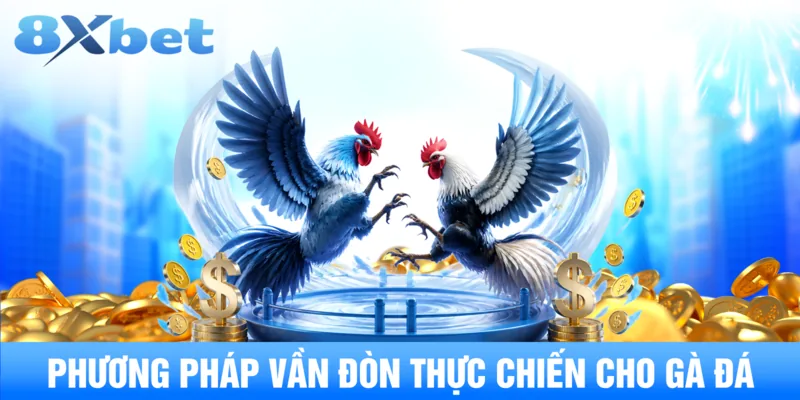 Phương pháp vần đòn thực chiến cho gà đá