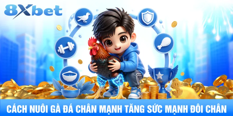 Dinh dưỡng tăng sức mạnh đôi chân gà đá