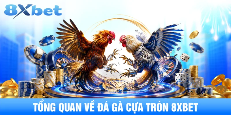 Tổng quan về đá gà cựa tròn 8XBET
